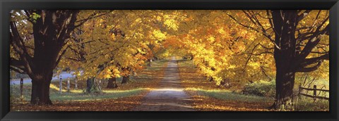 Framed Road, Baltimore County, Maryland, USA Print