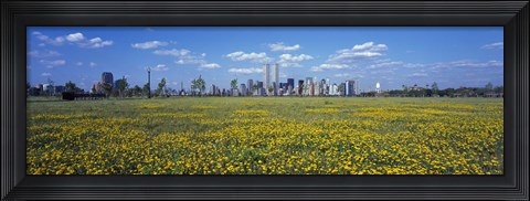Framed Yellow Flowers in a park with Manhattan in the background, New York City Print