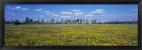 Framed Yellow Flowers in a park with Manhattan in the background, New York City Print