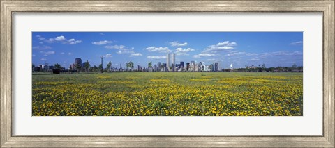 Framed Yellow Flowers in a park with Manhattan in the background, New York City Print
