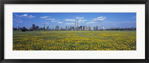 Framed Yellow Flowers in a park with Manhattan in the background, New York City Print