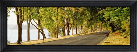Framed Trees on both sides of a road, Lake Washington Boulevard, Seattle, Washington State, USA Print
