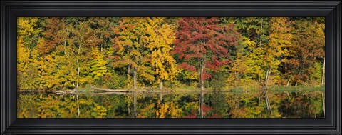 Framed Reflection of trees in water, Saratoga Springs, New York City, New York State, USA Print