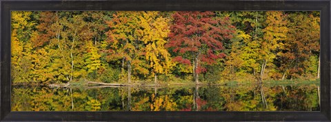 Framed Reflection of trees in water, Saratoga Springs, New York City, New York State, USA Print