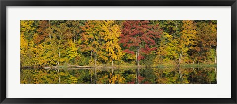 Framed Reflection of trees in water, Saratoga Springs, New York City, New York State, USA Print