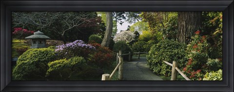 Framed Plants in a garden, Japanese Tea Garden, San Francisco, California, USA Print