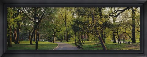 Framed Trees In A Park, Central Park, NYC, New York City, New York State, USA Print