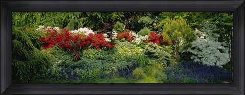 Framed High Angle View Of Flowers In A Garden, Baltimore, Maryland, USA Print