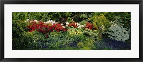 Framed High Angle View Of Flowers In A Garden, Baltimore, Maryland, USA Print