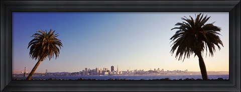 Framed Palm Trees At Dusk, San Francisco, California, USA Print