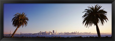 Framed Palm Trees At Dusk, San Francisco, California, USA Print