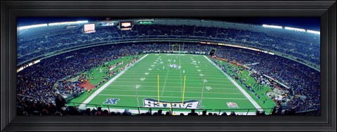 Framed Philadelphia Eagles NFL Football Veterans Stadium Philadelphia PA Print