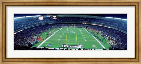 Framed Philadelphia Eagles NFL Football Veterans Stadium Philadelphia PA Print