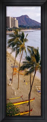 Framed High angle view of tourists on the beach, Waikiki Beach, Honolulu, Oahu, Hawaii, USA Print