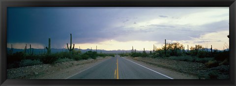 Framed Desert Road near Tucson Arizona USA Print