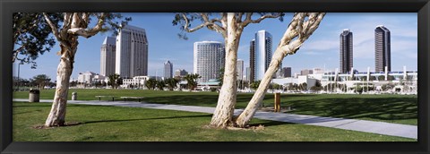Framed Embarcadero Marina Park, San Diego, California, USA Print