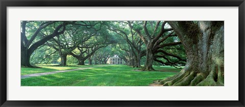 Framed USA, Louisiana, New Orleans, Oak Alley Plantation, plantation home through alley of oak trees Print