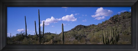Framed Desert Road AZ Print