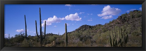 Framed Desert Road AZ Print