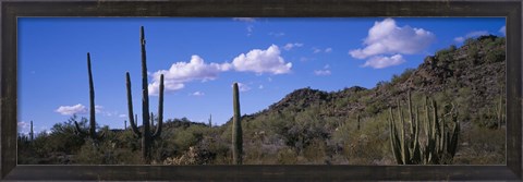 Framed Desert Road AZ Print