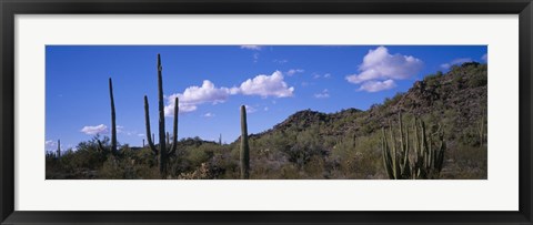 Framed Desert Road AZ Print