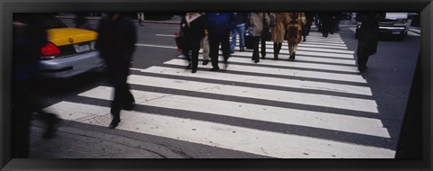 Framed Group of people crossing at a zebra crossing, New York City, New York State, USA Print