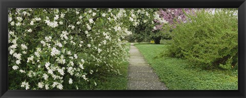 Framed Path In A Park, Richmond, Virginia, USA Print