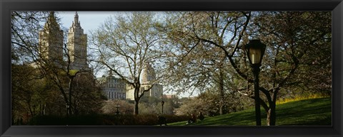 Framed Park In Front Of A Building, Central Park, NYC, New York City, New York State, USA Print