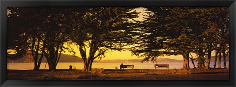 Framed Trees In A Field, Crissy Field, San Francisco, California, USA Print