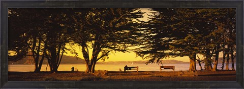 Framed Trees In A Field, Crissy Field, San Francisco, California, USA Print