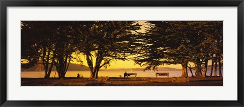 Framed Trees In A Field, Crissy Field, San Francisco, California, USA Print