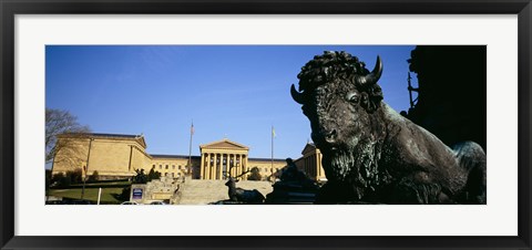 Framed Sculpture of a buffalo with a museum in the background, Philadelphia Museum Of Art, Philadelphia, Pennsylvania, USA Print