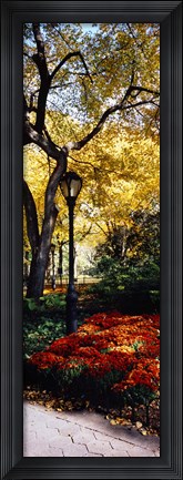 Framed Lamppost in a park, Central Park, Manhattan, New York City, New York, USA Print