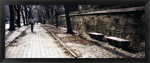 Framed Rear view of a woman walking on a walkway, Central Park, Manhattan, New York City, New York, USA Print