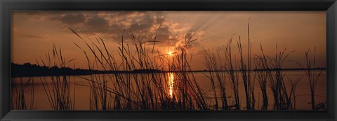 Framed Sunset over a lake, Lake Travis, Austin, Texas Print