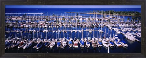 Framed High angle view of boats in a row, Ala Wai, Honolulu, Hawaii Print