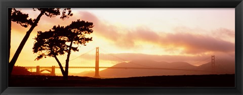 Framed Silhouette of trees at sunset, Golden Gate Bridge, San Francisco, California, USA Print