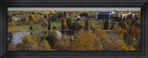 Framed High angle view of trees, Denver, Colorado, USA Print