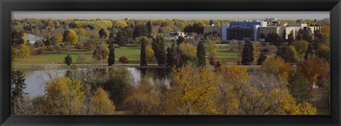 Framed High angle view of trees, Denver, Colorado, USA Print