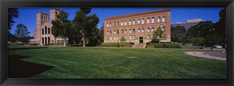 Framed Lawn in front of a Royce Hall and Haines Hall, University of California, City of Los Angeles, California, USA Print