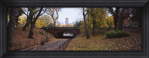 Framed Bridge in a park, Central Park, Manhattan, New York City, New York State, USA Print