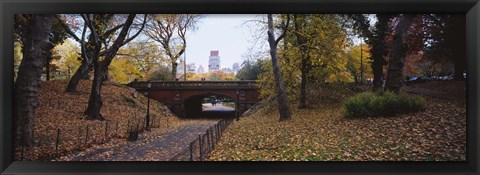 Framed Bridge in a park, Central Park, Manhattan, New York City, New York State, USA Print