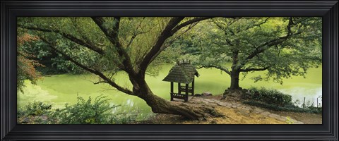 Framed Trees near a pond, Central Park, Manhattan, New York City, New York State, USA Print