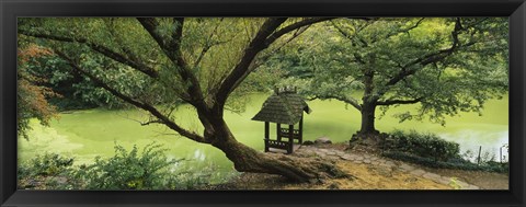 Framed Trees near a pond, Central Park, Manhattan, New York City, New York State, USA Print