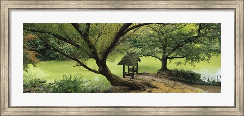Framed Trees near a pond, Central Park, Manhattan, New York City, New York State, USA Print