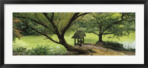 Framed Trees near a pond, Central Park, Manhattan, New York City, New York State, USA Print