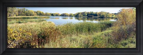 Framed Reflection of trees in water, Odana Hills Golf Course, Madison, Dane County, Wisconsin, USA Print