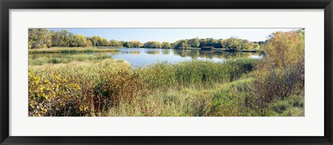 Framed Reflection of trees in water, Odana Hills Golf Course, Madison, Dane County, Wisconsin, USA Print