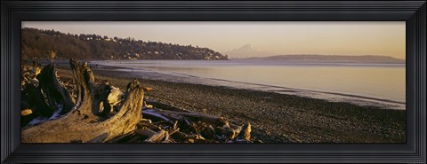 Framed Driftwood on the beach, Discovery Park, Mt Rainier, Seattle, King County, Washington State, USA Print