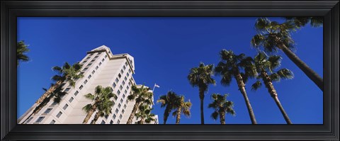 Framed Low angle view of palm trees, Downtown San Jose, San Jose, Silicon Valley, Santa Clara County, California Print